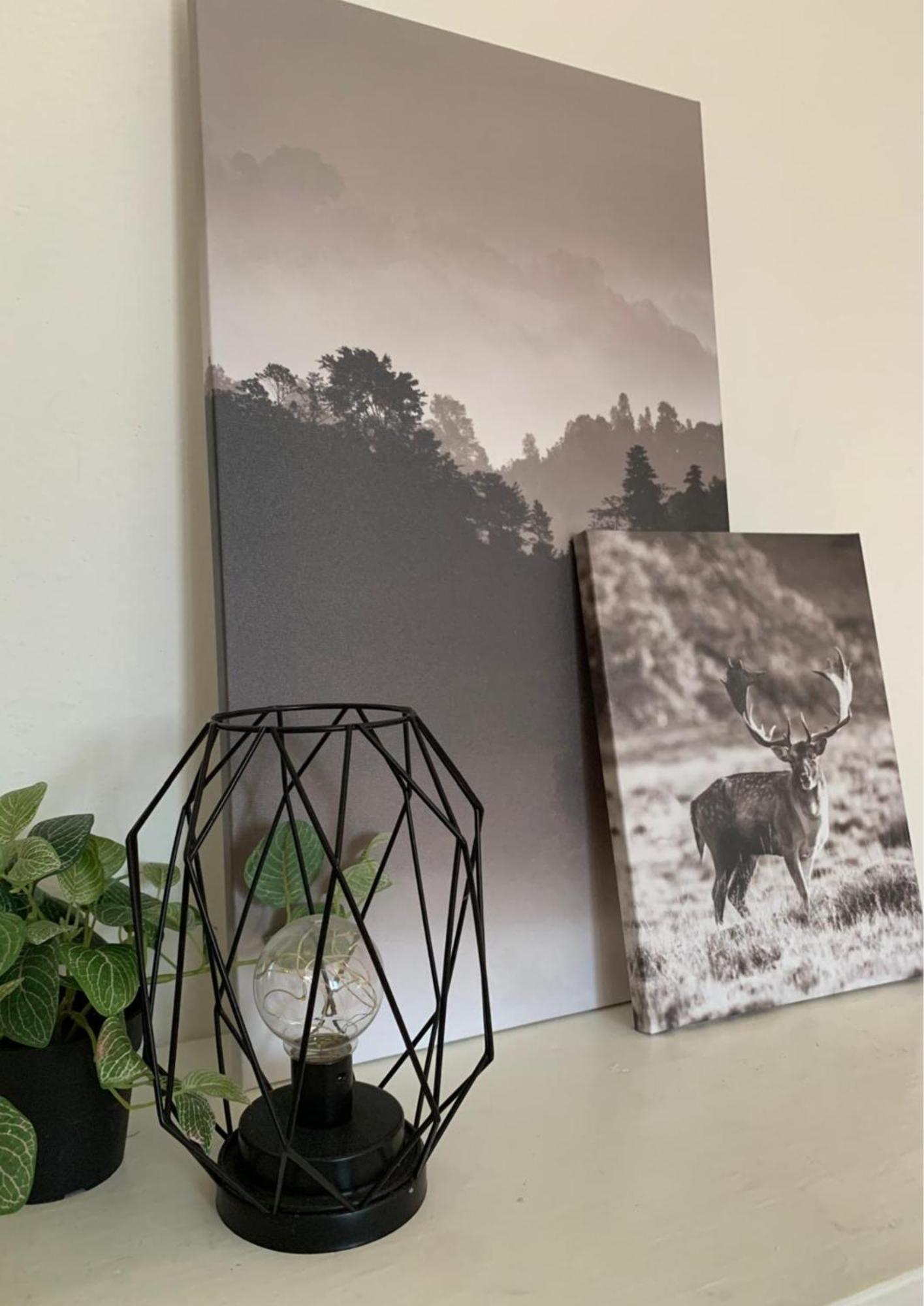 Bellaria Beach Apartments エクステリア 写真
